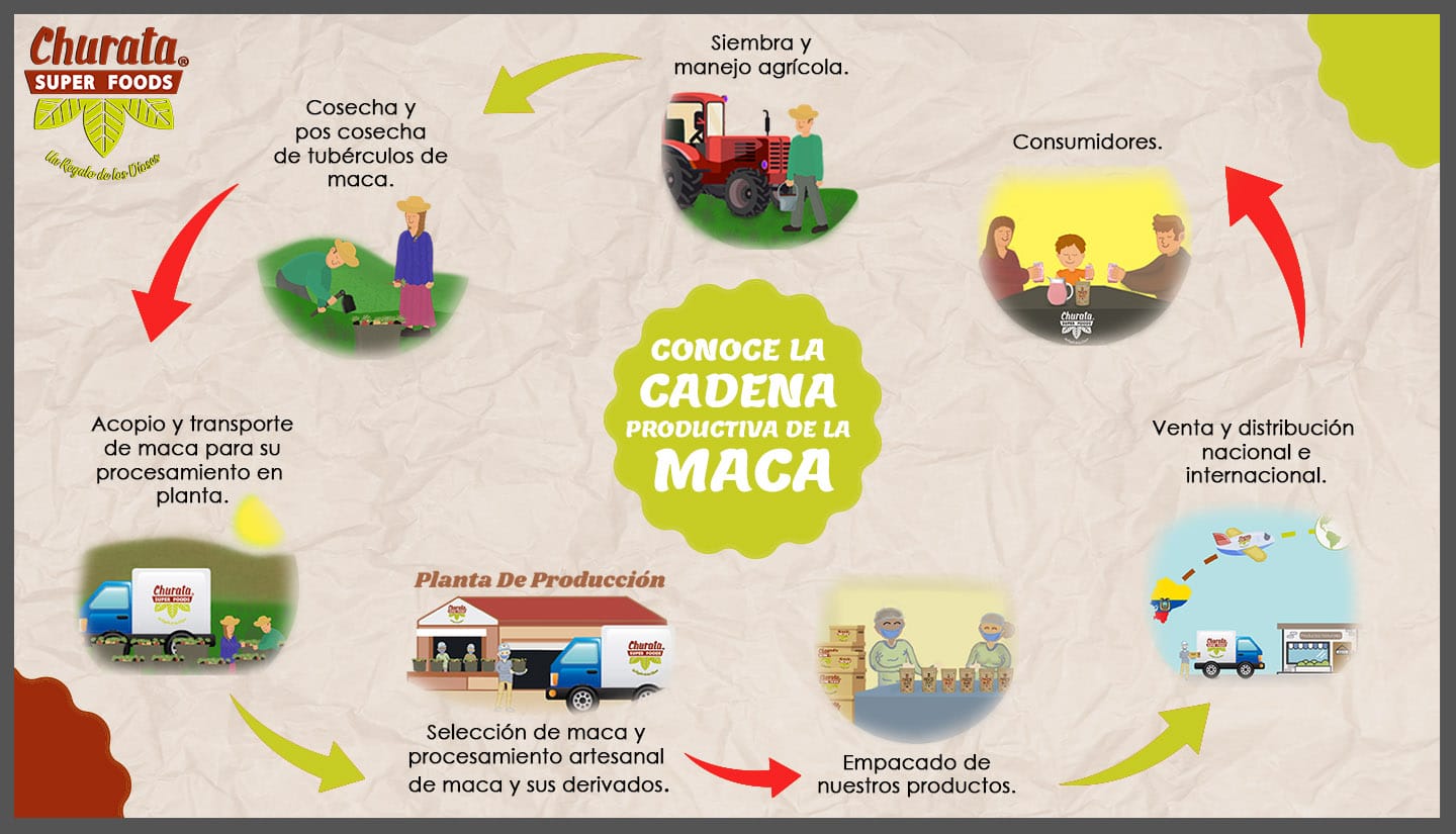 IMAGEN DE PROCESO DE MACA POWER